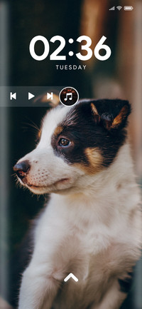 Puppy_Three