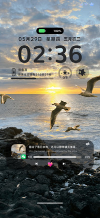 INS风 日出海鸥