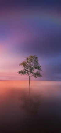简约景色壁纸-锐景创意