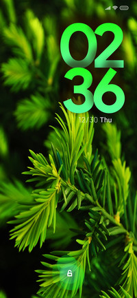 Pine Oz