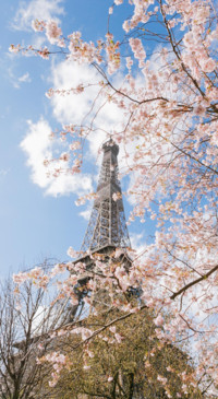 Paris (5)