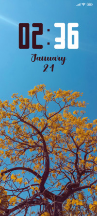 Spring