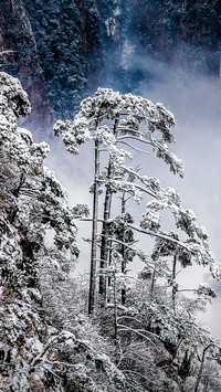 冬游黄山