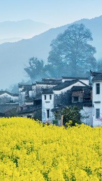 别样婺源