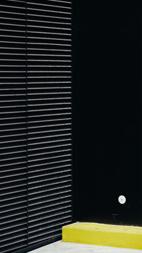 daily (12)