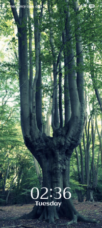Verdant Glow