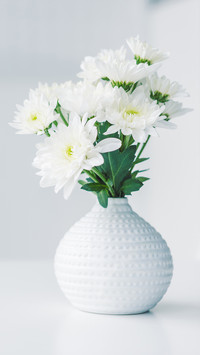 PAIXIN-plant (8)