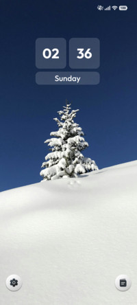 Winter Veil
