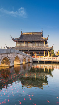 来周庄做一场江南梦