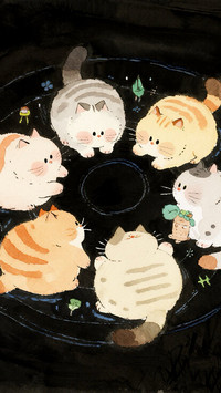 圆圈小猫的日常