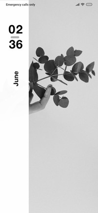 Elegant Leafs