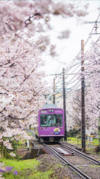 japan (10)