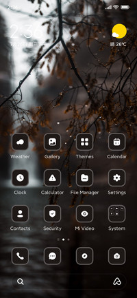 Raindrops