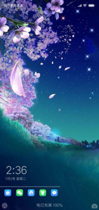 夏夜花季  动态