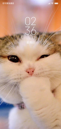 萌宠猫咪OSg