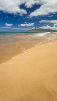 Turquoise sea, golden sand