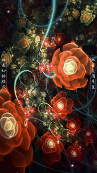 魅力之花