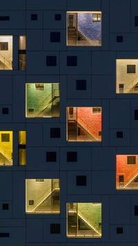 Window