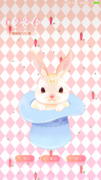 Rabbit