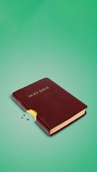 Creative wallpapers