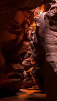 Nature's Glory (17)