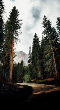 Nature B5 (22)