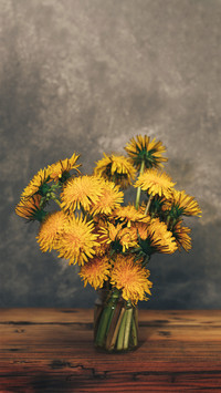 Tips for keeping flowers from withering for a long time 7