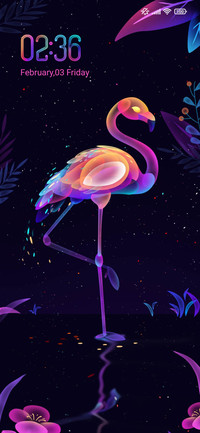Dazzling Flamingo