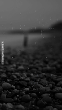 简约芳华
