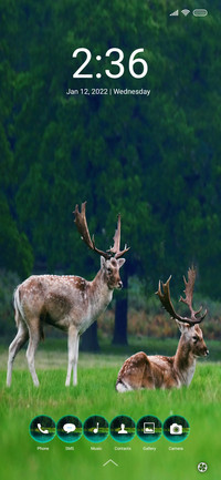 Wildlife for