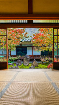 京都红叶狩