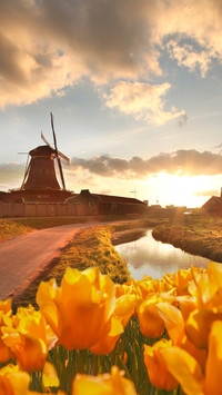 Windmill