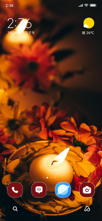Diwali Bloom