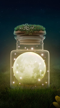 Art Wallpapers-07