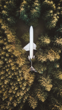 Civil aviation of China 83