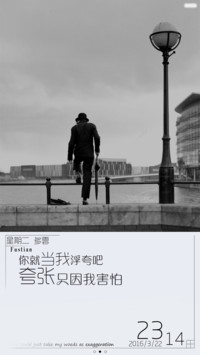 你当我浮夸吧（三锁屏+多壁纸+自由桌面）