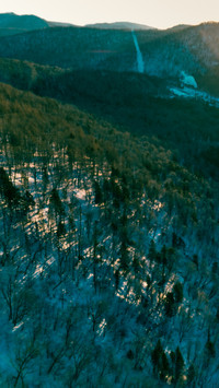 Snow Village Morning Twilight in the Sea of Forest