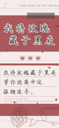 我将玫瑰藏于黑夜