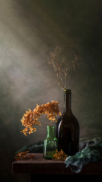 Modern still life with dry hydrangea and green tippet
