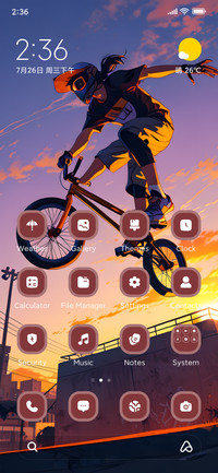 Rider