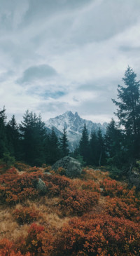 Travel The World (11)