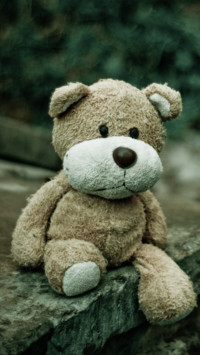 Teddy Day (5)