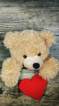 Teddy Day (6)