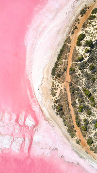 The earth secretly applied dopamine eyeshadow