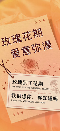 玫瑰花期爱意弥漫