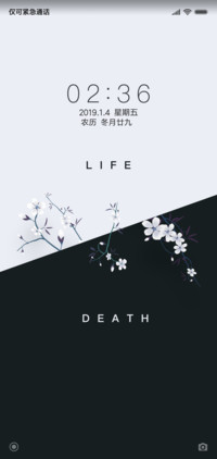黑白兰花
