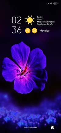 Purple Ace