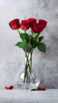 Flowers are a kind of mood and a kind of life 3