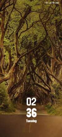 Road Forest