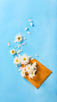 A Letter from Spring